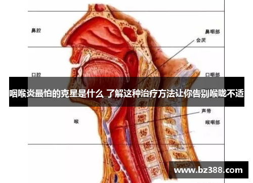咽喉炎最怕的克星是什么 了解这种治疗方法让你告别喉咙不适 咽喉炎最怕的克星是什么 了解这种治疗方法让你告别喉咙不适