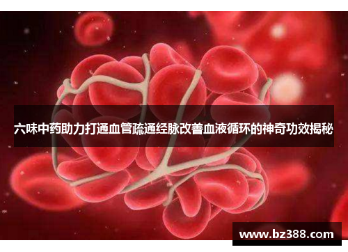 六味中药助力打通血管疏通经脉改善血液循环的神奇功效揭秘 六味中药助力打通血管疏通经脉改善血液循环的神奇功效揭秘