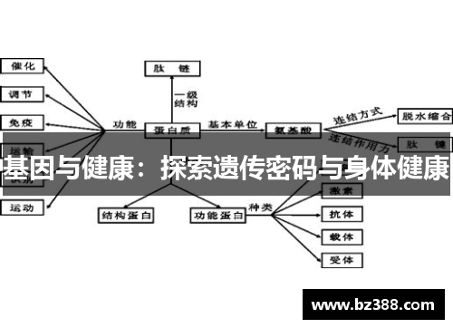 基因与健康:探索遗传密码与身体健康 基因与健康:探索遗传密码与身体健康