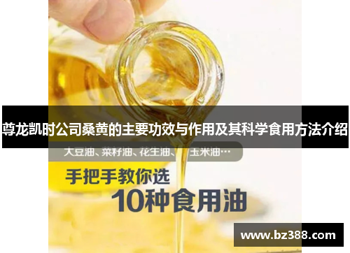 尊龙凯时公司桑黄的主要功效与作用及其科学食用方法介绍 尊龙凯时公司桑黄的主要功效与作用及其科学食用方法介绍