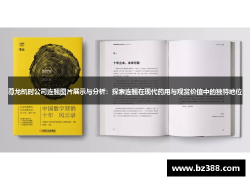 尊龙凯时公司连翘图片展示与分析:探索连翘在现代药用与观赏价值中的独特地位 尊龙凯时公司连翘图片展示与分析:探索连翘在现代药用与观赏价值中的独特地位