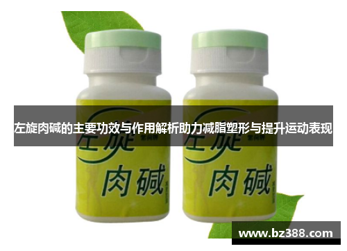 左旋肉碱的主要功效与作用解析助力减脂塑形与提升运动表现 左旋肉碱的主要功效与作用解析助力减脂塑形与提升运动表现