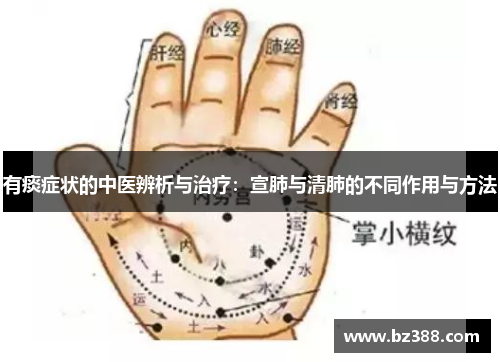 有痰症状的中医辨析与治疗:宣肺与清肺的不同作用与方法 有痰症状的中医辨析与治疗:宣肺与清肺的不同作用与方法