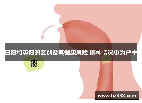 白痰和黄痰的区别及其健康风险 哪种情况更为严重