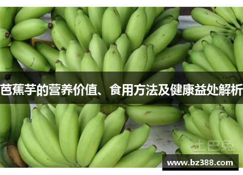 芭蕉芋的营养价值、食用方法及健康益处解析