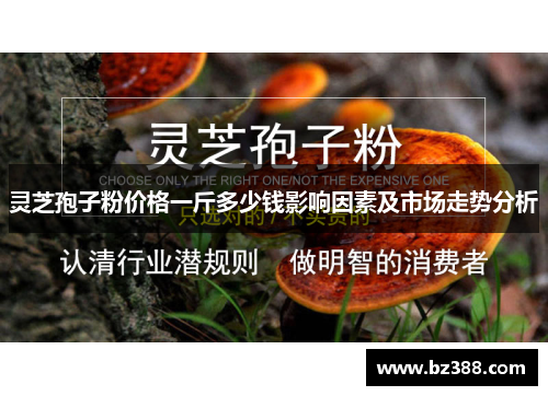 灵芝孢子粉价格一斤多少钱影响因素及市场走势分析